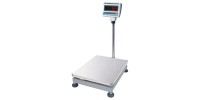 Floor scales