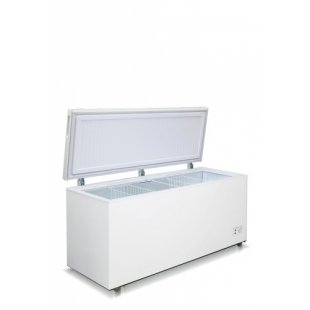 Chest freezer Biryusa 560KX (815x1790x680 in, 0.16 kW, 220 V)