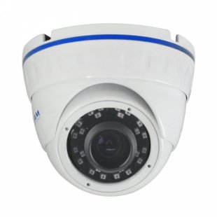 IP video surveillance camera vandal-proof 2.0 AltCam IDMV24IR