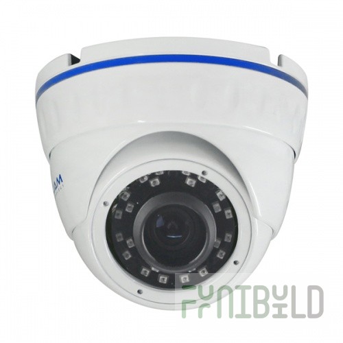 IP video surveillance camera vandal-proof 2.0 AltCam IDMV24IR