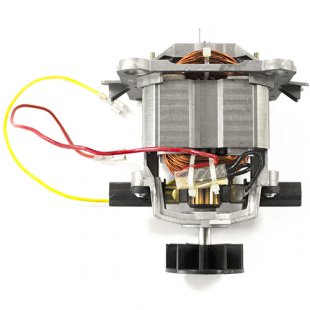 Electric motor for blender