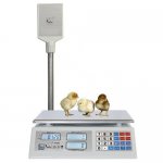 Trade scales with stand Fort T-T 870B TRADE 15 kg (335x115x390 in, platform 230x330 in)