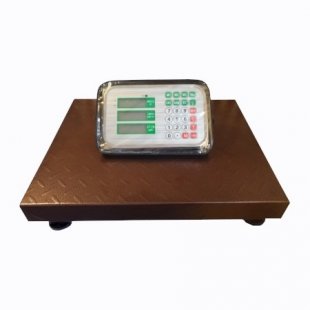 Household scales GreatRiver DH-702E (300kg/50g) LCD radio channel