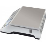 Trade scales CAS ER-JR-06CB (304x324x112 in, platform 290x209 in, 220 V)
