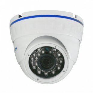 IP Vandal-proof CCTV Camera 2.0 AltCam IDMF24IR