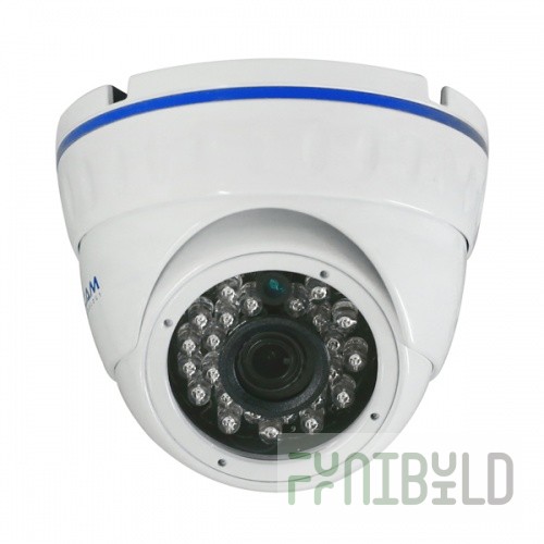IP Vandal-proof CCTV Camera 2.0 AltCam IDMF24IR
