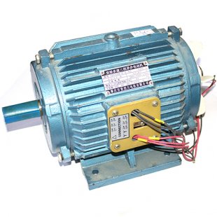 Electric motor (for the B60 whipping machine)