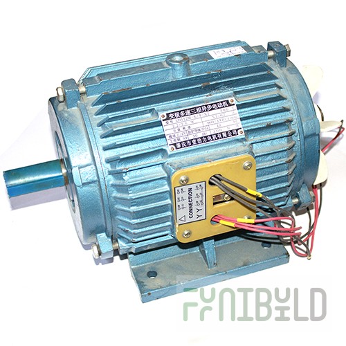 Electric motor (for the B60 whipping machine)