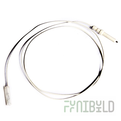 Ignition electrodes for the burner