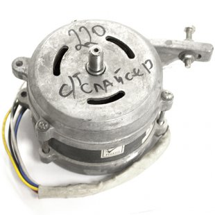 Electric motor (for slicer SL 220-ES)