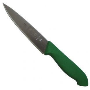 Kitchen knife 150/270 in green HoReCa Icel art. 285.HR03.15