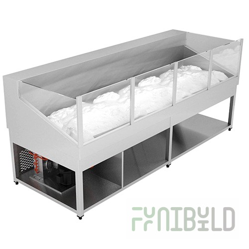 Refrigerated display case for fish Gastrolux BOR-209/Pr(2000x900x1050 in, 0.8 kW, 220 V)