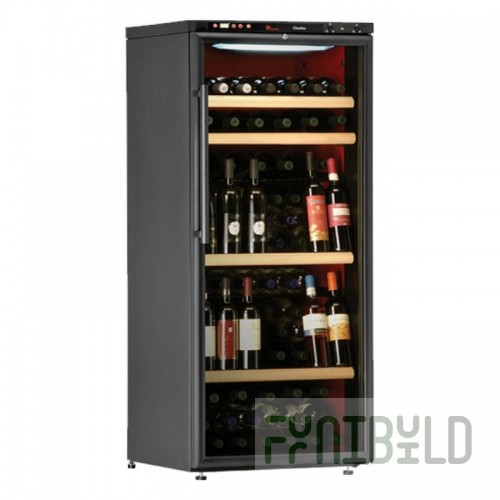 Wine cabinet IP Industrie C 301 CF