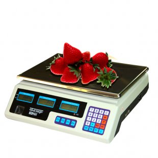 Trade scales MIDL MT 15 MZhA-7 "Bazar" without stand