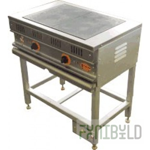 Electric stove Gomeltorgmash PEM 2-030