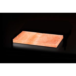 Dry ager salt block DX0058 for DX 500