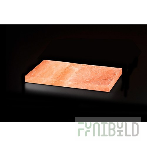 Dry ager salt block DX0058 for DX 500