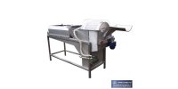 Vegetable washing equipment