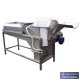 Vegetable washing equipment