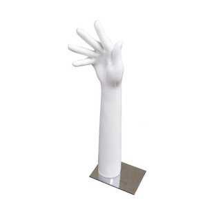 H-02 \ Hand (fan palm)