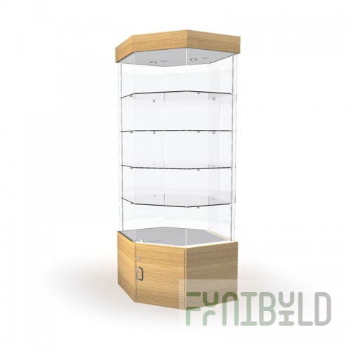 Showcase with lighting and storage