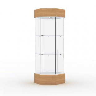 Display case with lighting (mirror back wall)