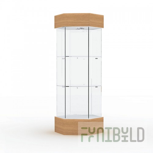 Display case with lighting (mirror back wall)