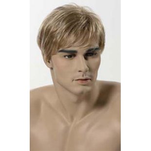 P006 \ Platinum Wig