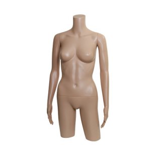 FT-1 \ Female torso Nova Plastic