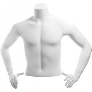 C-12-01M \ Men's torso BASIC, shortened