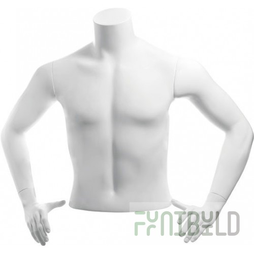 C-12-01M - Men's torso BASIC, shortened