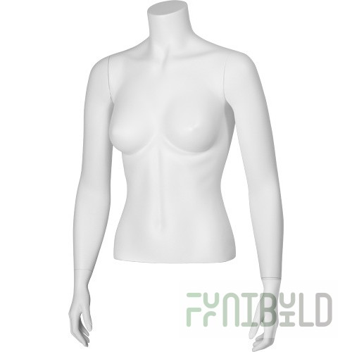 C-06-01M - Women's torso BASIC, shortened