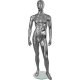 Mannequins chromed