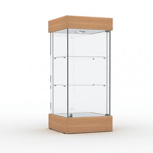 Display case with lighting (mirror back wall)