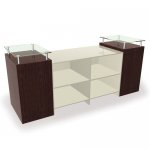 NES.0034.001 - Reception