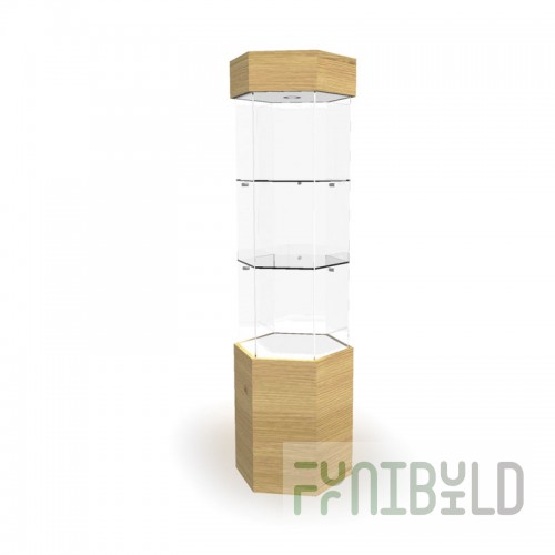 Showcase with lighting