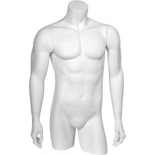 C-04 \ Male torso BASIC