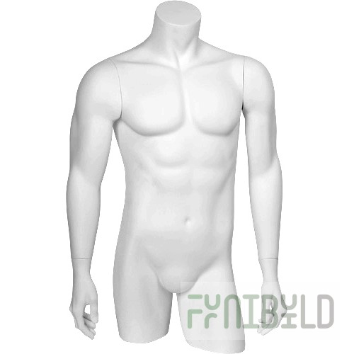 C-04 - Male torso BASIC