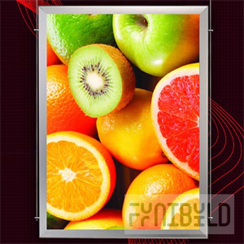 Light panel CLASSIC MOBILE A2 D
