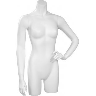 C-26-01M \ Female torso BASIC