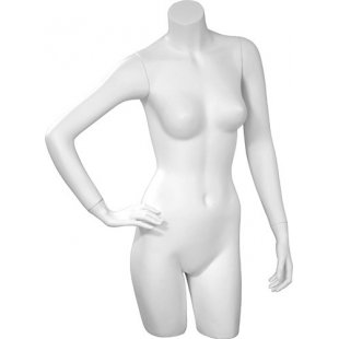C-28-01M \ Female torso BASIC