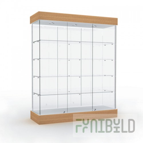 Showcase with lighting