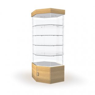 Display cabinet with lighting and storage (mirror back wall)