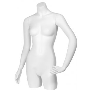 C-05 \ Female torso BASIC