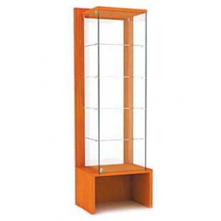 OVG60-VT \ Showcase with shelves and glass back wall