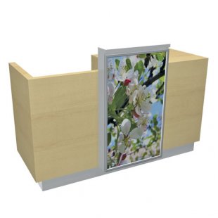 NES.0035 \ Cash desk with light panel