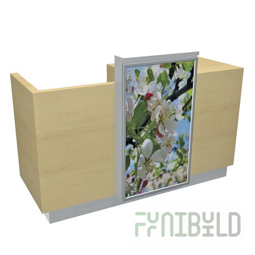 NES.0035 - Cash desk with light panel