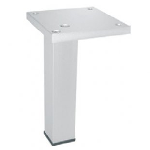 Display case support