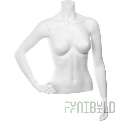 C-08-01M - Women's torso BASIC, shortened