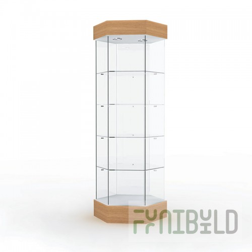 Display case with lighting (mirror back wall)